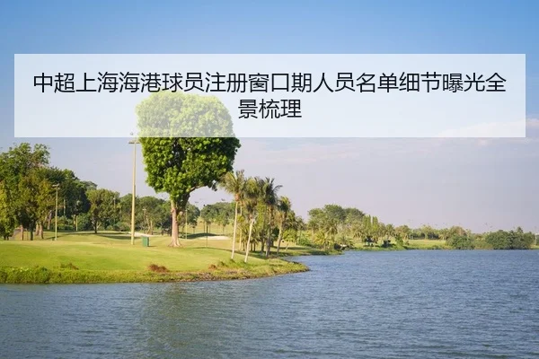 中超上海海港球员注册窗口期人员名单细节曝光全景梳理